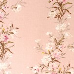 asola_C2_englishcarnation-02petal
