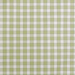 waverly_A2_hanoverplaid-02grass