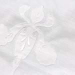 IMG_2095