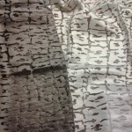 20160318_151145