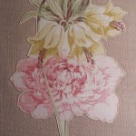 20170505_125739